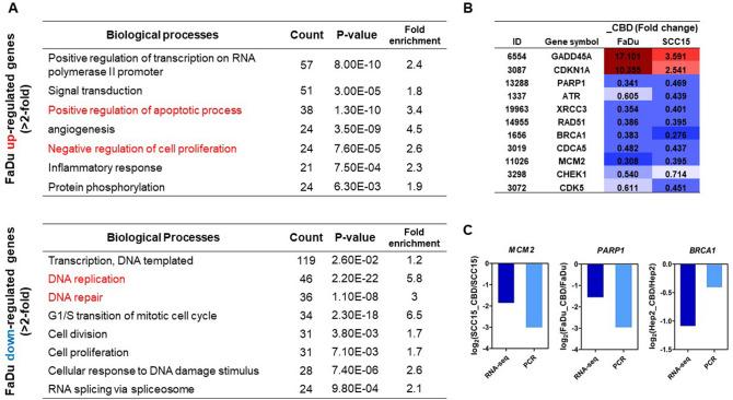 https://cdn.ncbi.nlm.nih.gov/pmc/blobs/ef09/7692486/140580f7fe3a/41598_2020_77674_Fig6_HTML.jpg