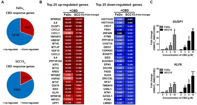 https://cdn.ncbi.nlm.nih.gov/pmc/blobs/ef09/7692486/9c6c4a5a962d/41598_2020_77674_Fig5_HTML.jpg