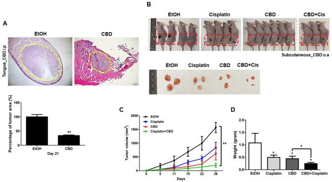 https://cdn.ncbi.nlm.nih.gov/pmc/blobs/ef09/7692486/e2a314d47f72/41598_2020_77674_Fig2_HTML.jpg