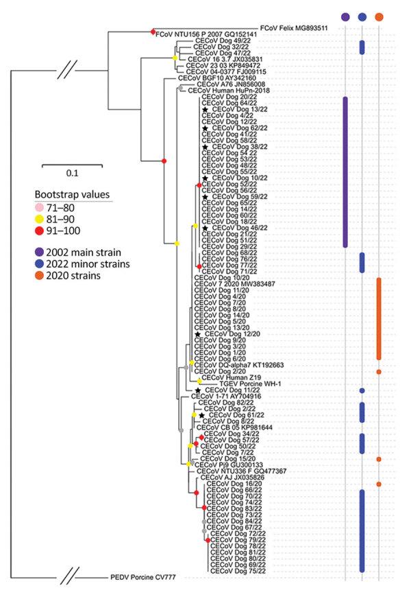 https://cdn.ncbi.nlm.nih.gov/pmc/blobs/ef0d/11139001/2b0db558202e/23-1184-F1.jpg