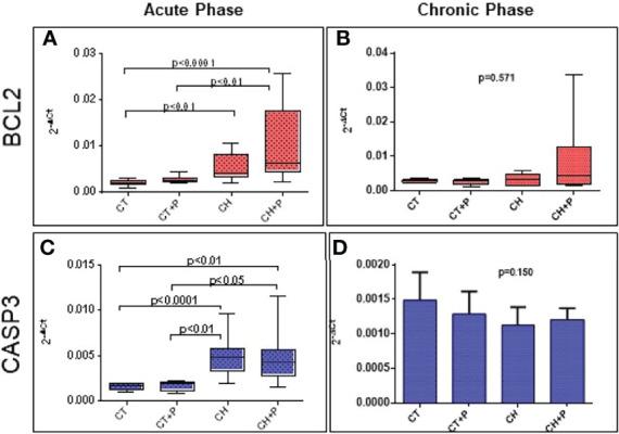 https://cdn.ncbi.nlm.nih.gov/pmc/blobs/ef0d/9343625/562a0e07b000/fcimb-12-830761-g005.jpg