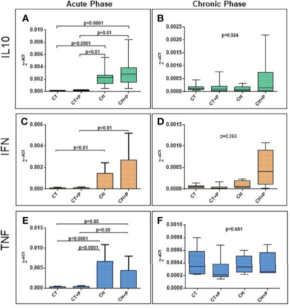 https://cdn.ncbi.nlm.nih.gov/pmc/blobs/ef0d/9343625/e49903439835/fcimb-12-830761-g003.jpg
