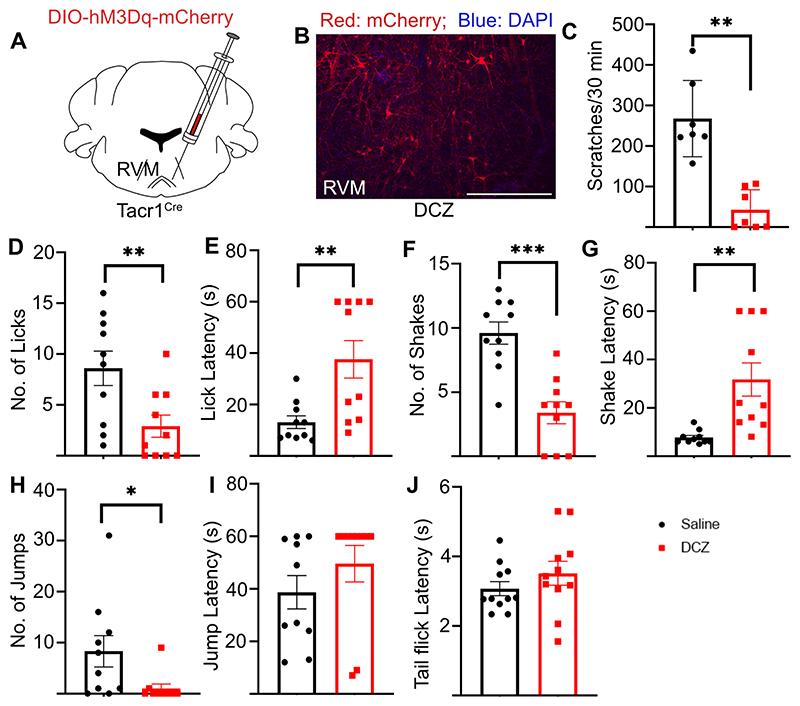 https://cdn.ncbi.nlm.nih.gov/pmc/blobs/ef0f/7617711/034ddbac29a7/EMS205750-f004.jpg