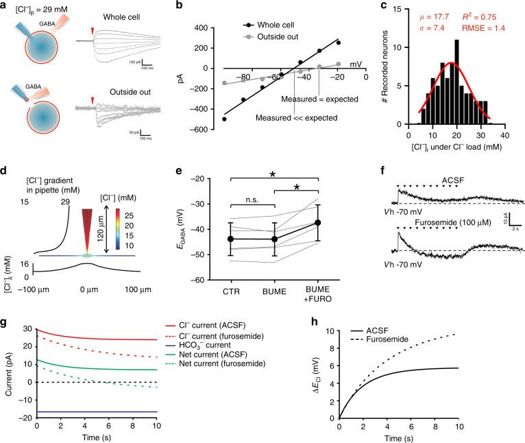 https://cdn.ncbi.nlm.nih.gov/pmc/blobs/ef10/7414850/a8d189daf028/41467_2020_17824_Fig1_HTML.jpg