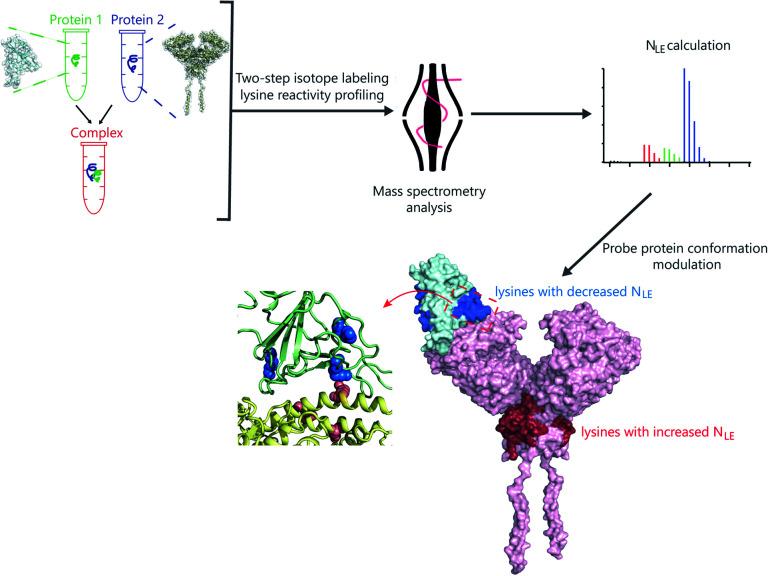 https://cdn.ncbi.nlm.nih.gov/pmc/blobs/ef10/8179027/dc65c3710f3e/d0sc05330a-f1.jpg