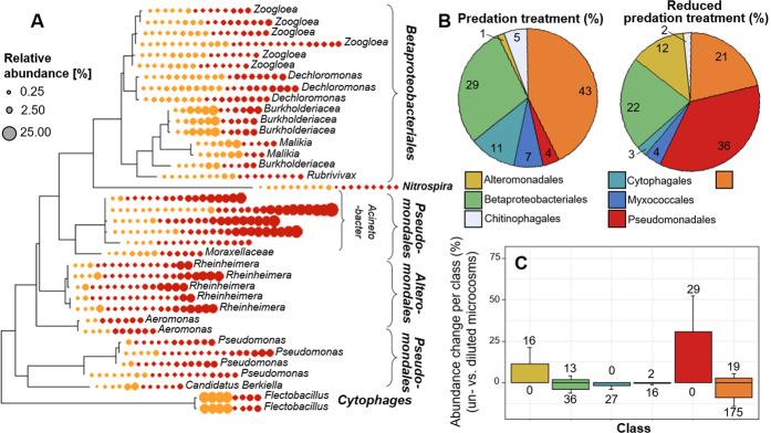 https://cdn.ncbi.nlm.nih.gov/pmc/blobs/ef11/8941047/2a12494700b8/41396_2021_1145_Fig6_HTML.jpg