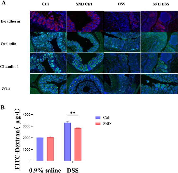 https://cdn.ncbi.nlm.nih.gov/pmc/blobs/ef13/12087465/11e944b99cc8/JIR-18-6263-g0009.jpg