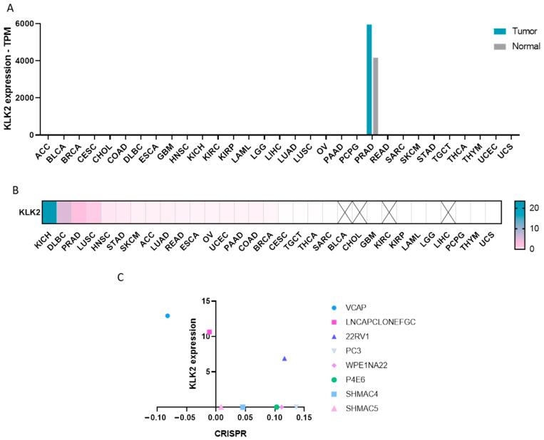 https://cdn.ncbi.nlm.nih.gov/pmc/blobs/ef15/10889228/fefef3e1b8ef/ijms-25-02222-g001.jpg
