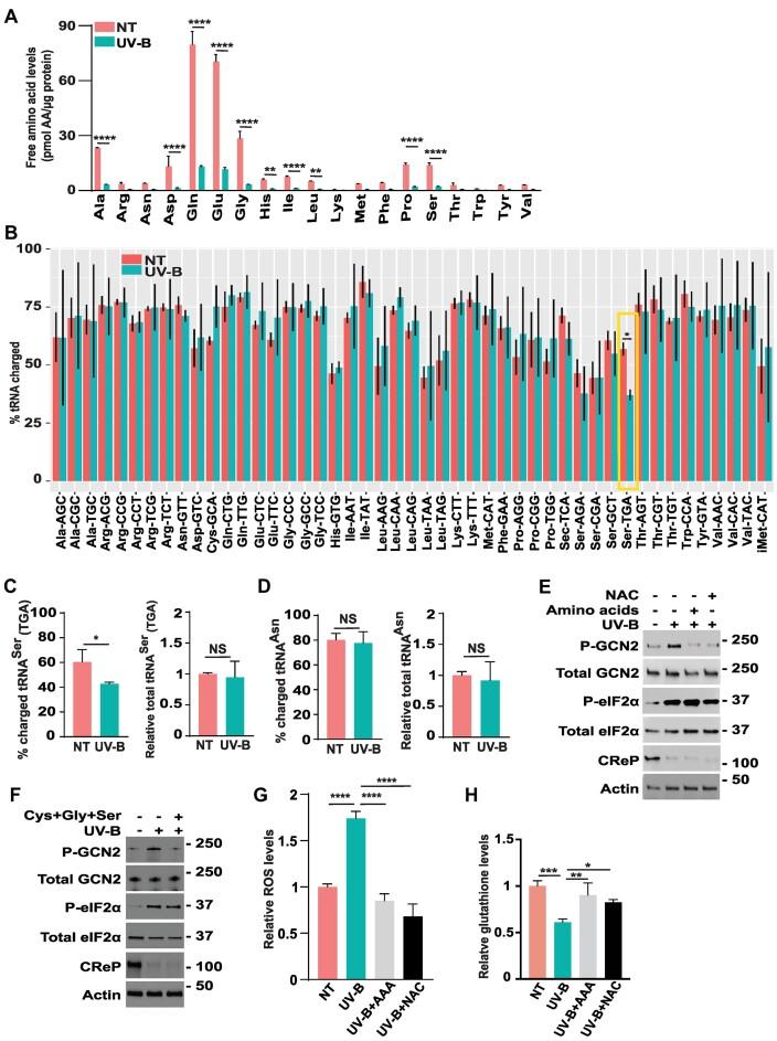 https://cdn.ncbi.nlm.nih.gov/pmc/blobs/ef15/10899773/a77c4a3d481e/gkae006fig6.jpg