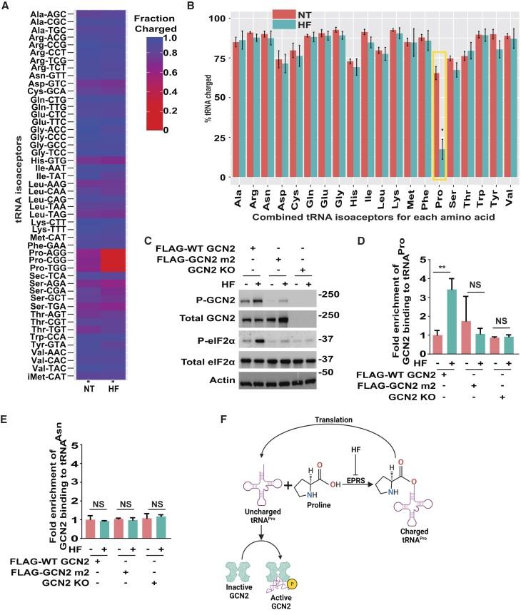 https://cdn.ncbi.nlm.nih.gov/pmc/blobs/ef15/10899773/ad3fa3fefd19/gkae006fig3.jpg