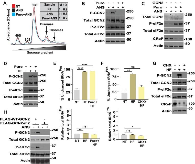 https://cdn.ncbi.nlm.nih.gov/pmc/blobs/ef15/10899773/aec8dd0299b5/gkae006fig2.jpg