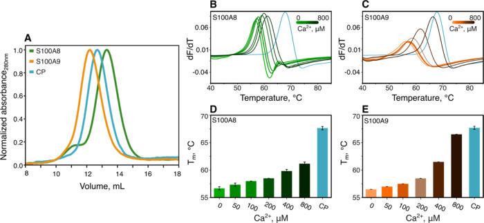 https://cdn.ncbi.nlm.nih.gov/pmc/blobs/ef16/11066842/60793f358ddd/cn4c00093_0003.jpg