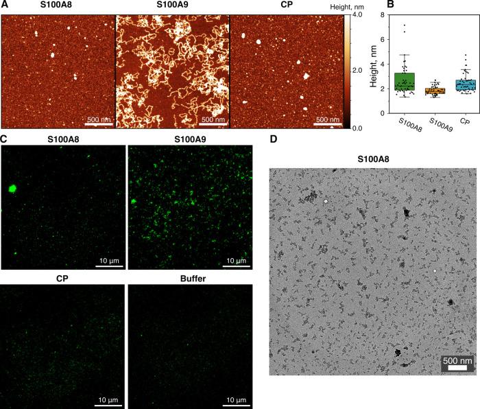 https://cdn.ncbi.nlm.nih.gov/pmc/blobs/ef16/11066842/e86b7d227ee9/cn4c00093_0006.jpg