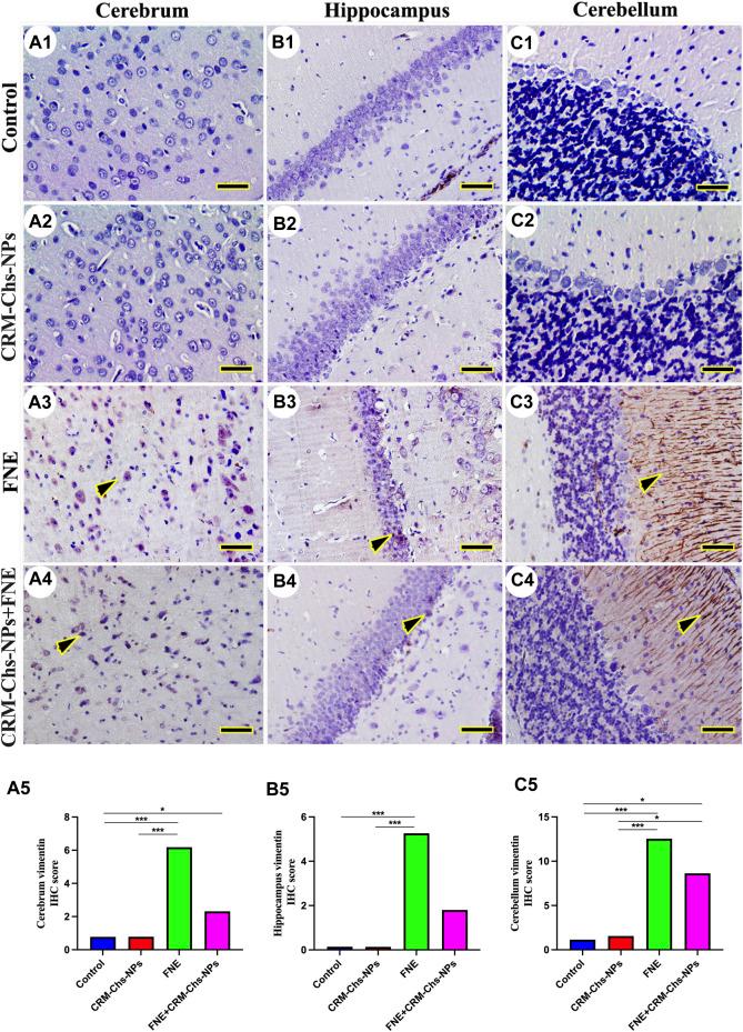 https://cdn.ncbi.nlm.nih.gov/pmc/blobs/ef18/11094265/e26087f7fc90/fphar-15-1388784-g008.jpg