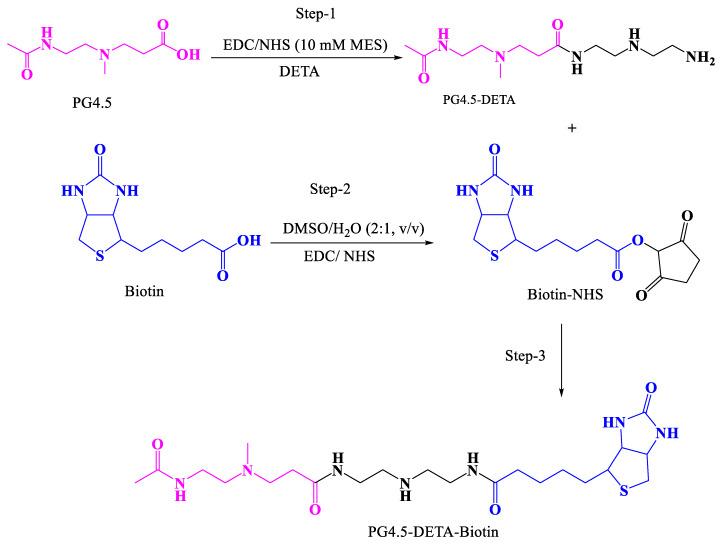 https://cdn.ncbi.nlm.nih.gov/pmc/blobs/ef18/7284937/59b22a5bff31/pharmaceutics-12-00443-sch001.jpg