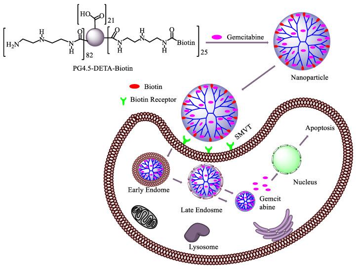 https://cdn.ncbi.nlm.nih.gov/pmc/blobs/ef18/7284937/86cde24f6049/pharmaceutics-12-00443-sch002.jpg