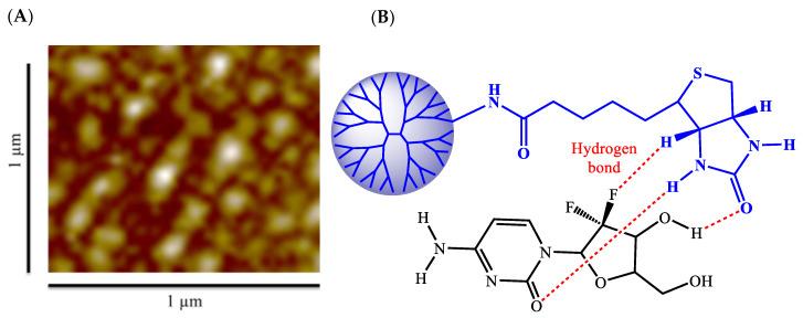 https://cdn.ncbi.nlm.nih.gov/pmc/blobs/ef18/7284937/9f85c9975b55/pharmaceutics-12-00443-g003.jpg