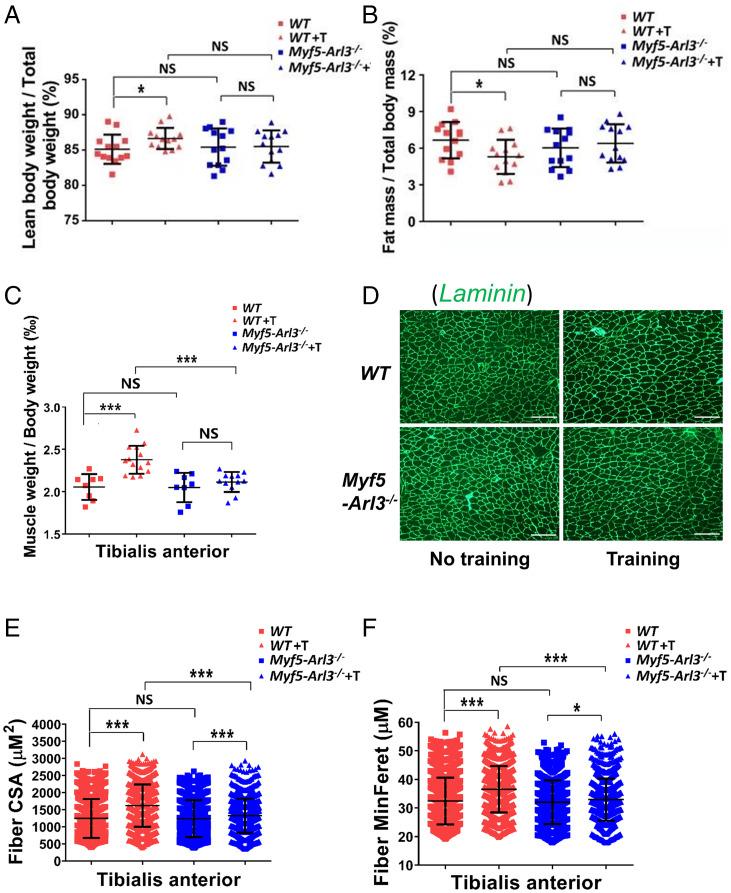 https://cdn.ncbi.nlm.nih.gov/pmc/blobs/ef1c/9214504/15fff8c25c51/pnas.2103615119fig02.jpg