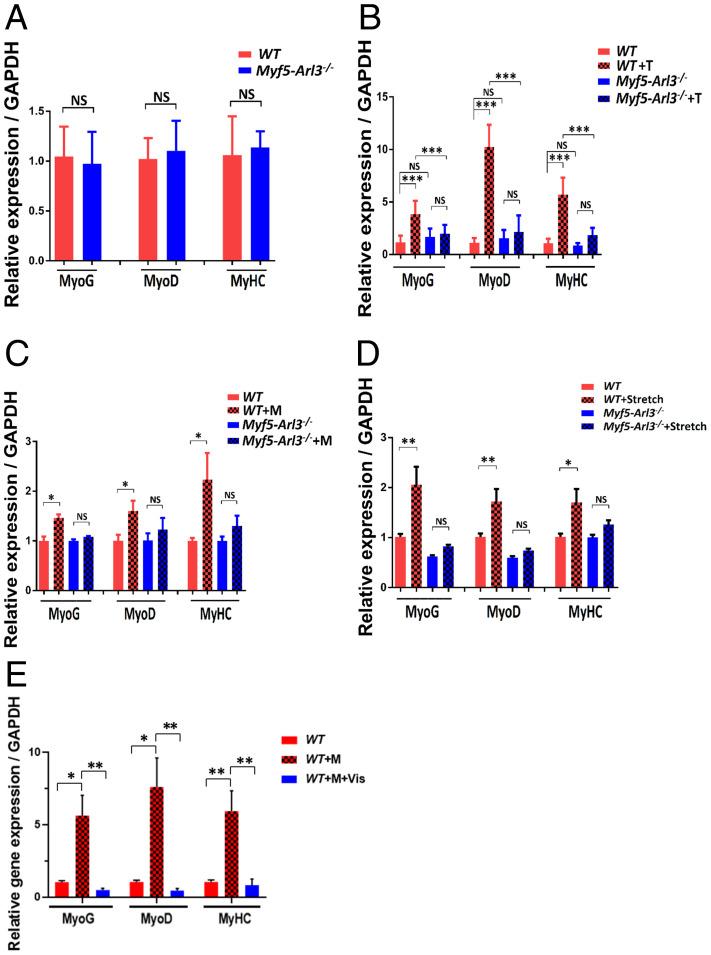 https://cdn.ncbi.nlm.nih.gov/pmc/blobs/ef1c/9214504/99993e1e4e76/pnas.2103615119fig04.jpg