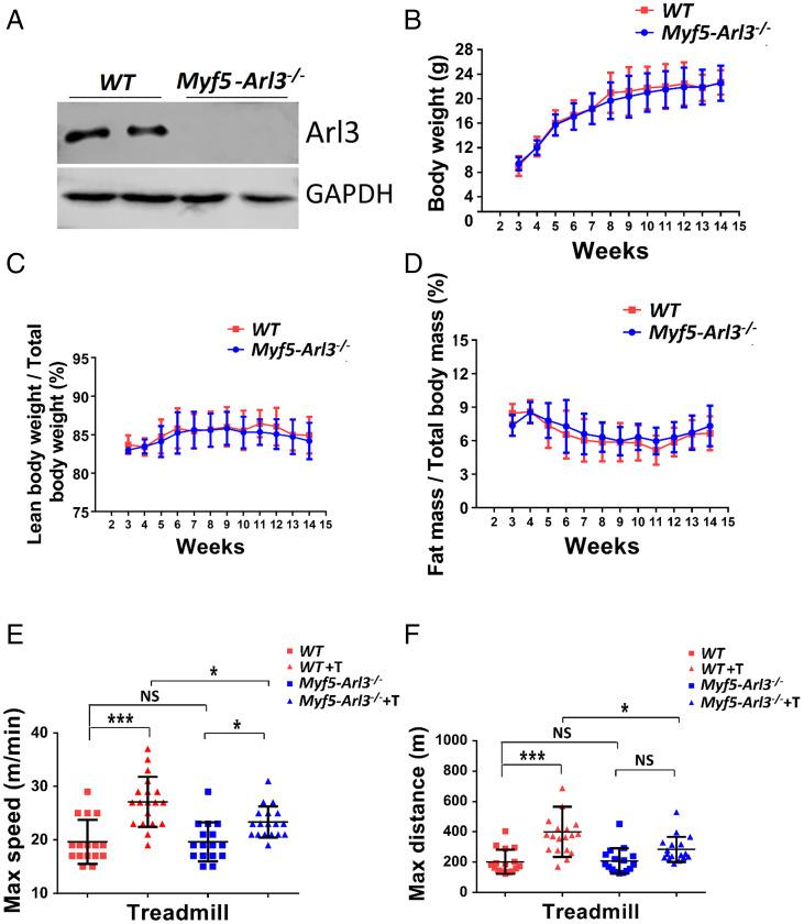 https://cdn.ncbi.nlm.nih.gov/pmc/blobs/ef1c/9214504/f5f85b20fde8/pnas.2103615119fig01.jpg