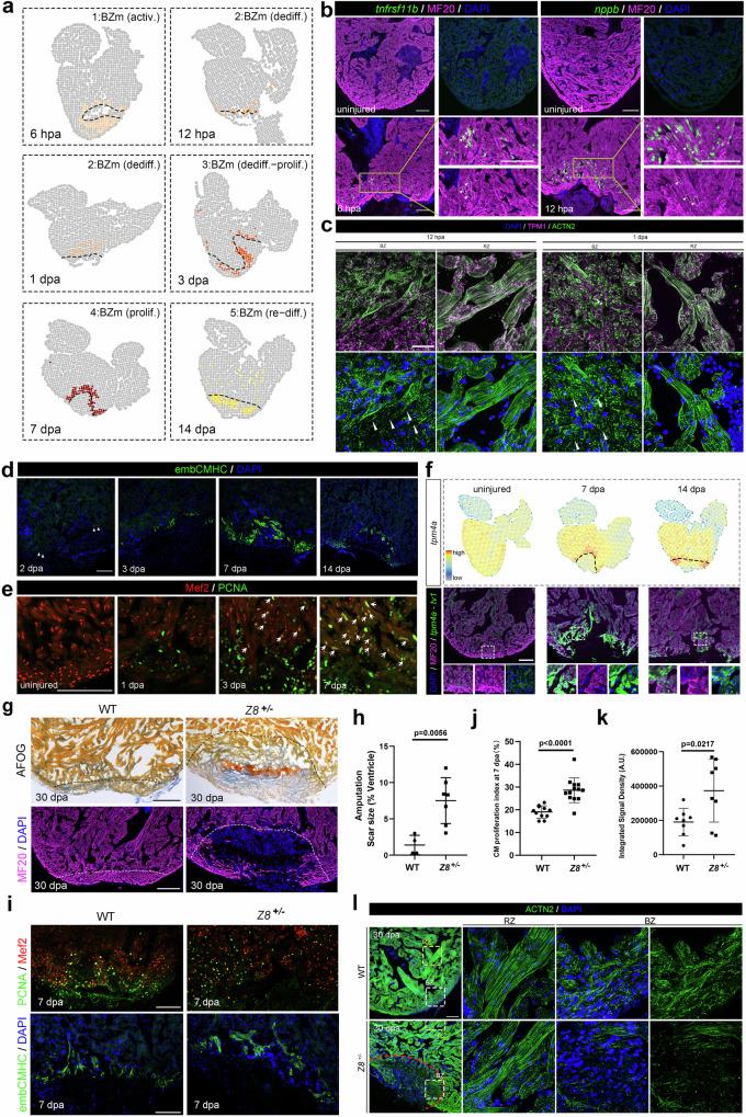 https://cdn.ncbi.nlm.nih.gov/pmc/blobs/ef1d/12009352/d837cdb0befc/41467_2025_59070_Fig2_HTML.jpg