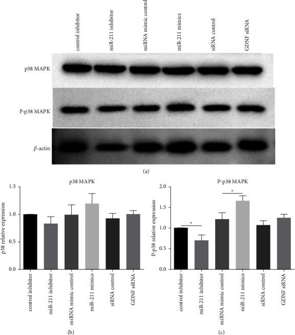 https://cdn.ncbi.nlm.nih.gov/pmc/blobs/ef1e/9771656/4093b5a889f1/CJGH2022-9394381.007.jpg