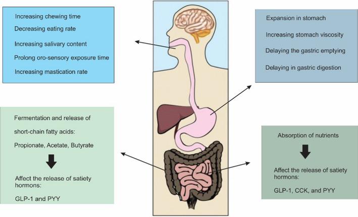 https://cdn.ncbi.nlm.nih.gov/pmc/blobs/ef1f/9094468/156517fb13e9/FSN3-10-1602-g002.jpg