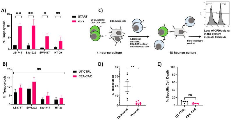 https://cdn.ncbi.nlm.nih.gov/pmc/blobs/ef20/10814835/3bc1cfaa0bc8/cancers-16-00388-g008.jpg