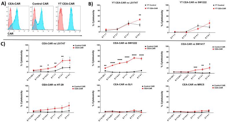 https://cdn.ncbi.nlm.nih.gov/pmc/blobs/ef20/10814835/622dacadb2bf/cancers-16-00388-g003.jpg