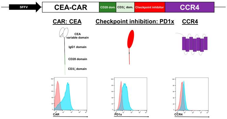 https://cdn.ncbi.nlm.nih.gov/pmc/blobs/ef20/10814835/6656a5a3b2c4/cancers-16-00388-g001.jpg