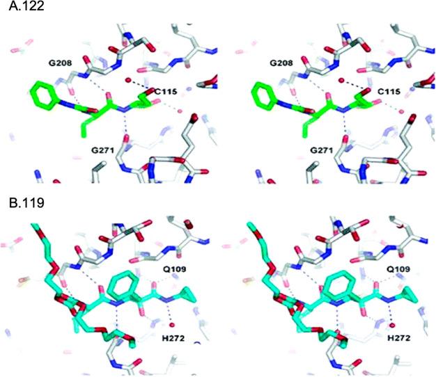 https://cdn.ncbi.nlm.nih.gov/pmc/blobs/ef20/8154582/15f58784e712/jm0c01808_0037.jpg