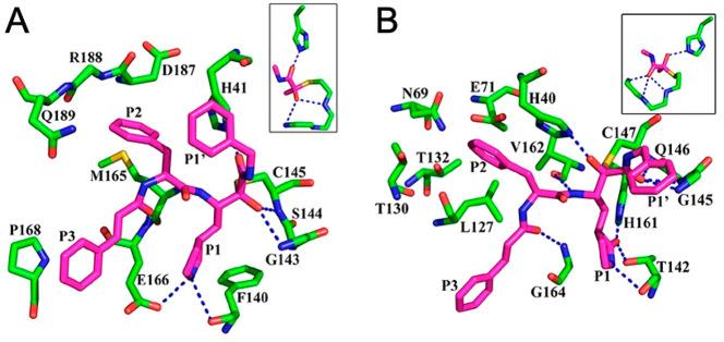 https://cdn.ncbi.nlm.nih.gov/pmc/blobs/ef20/8154582/5657c9993efa/jm0c01808_0034.jpg