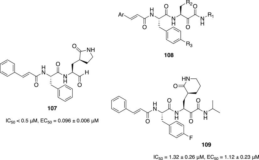 https://cdn.ncbi.nlm.nih.gov/pmc/blobs/ef20/8154582/910747cb28a2/jm0c01808_0031.jpg