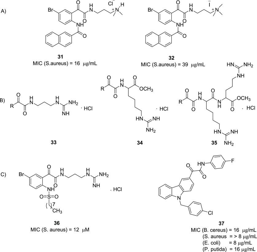 https://cdn.ncbi.nlm.nih.gov/pmc/blobs/ef20/8154582/a4801ba6bb68/jm0c01808_0018.jpg