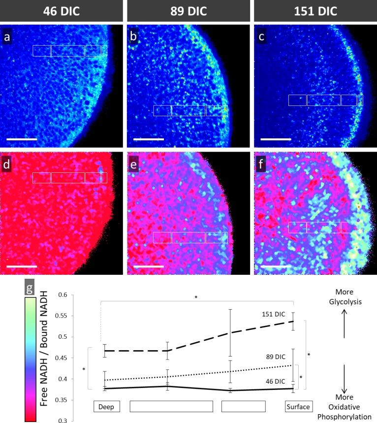 https://cdn.ncbi.nlm.nih.gov/pmc/blobs/ef21/5495152/506349006334/i1552-5783-58-9-3311-f07.jpg