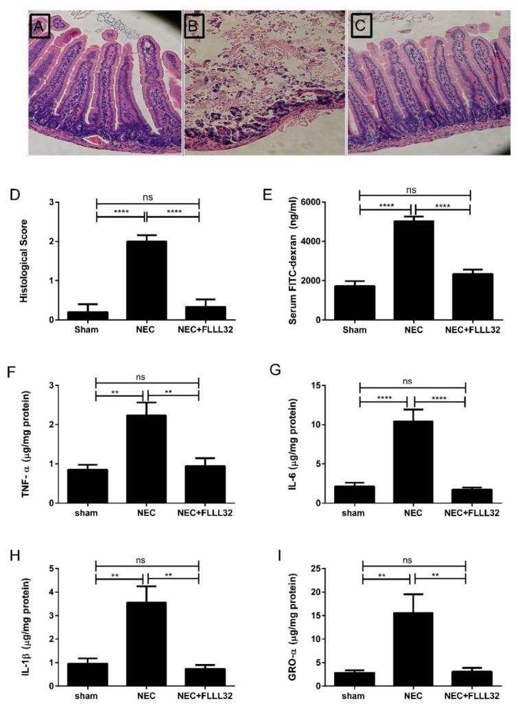 https://cdn.ncbi.nlm.nih.gov/pmc/blobs/ef26/6514688/9ea27e0077d5/ijms-20-01912-g003.jpg