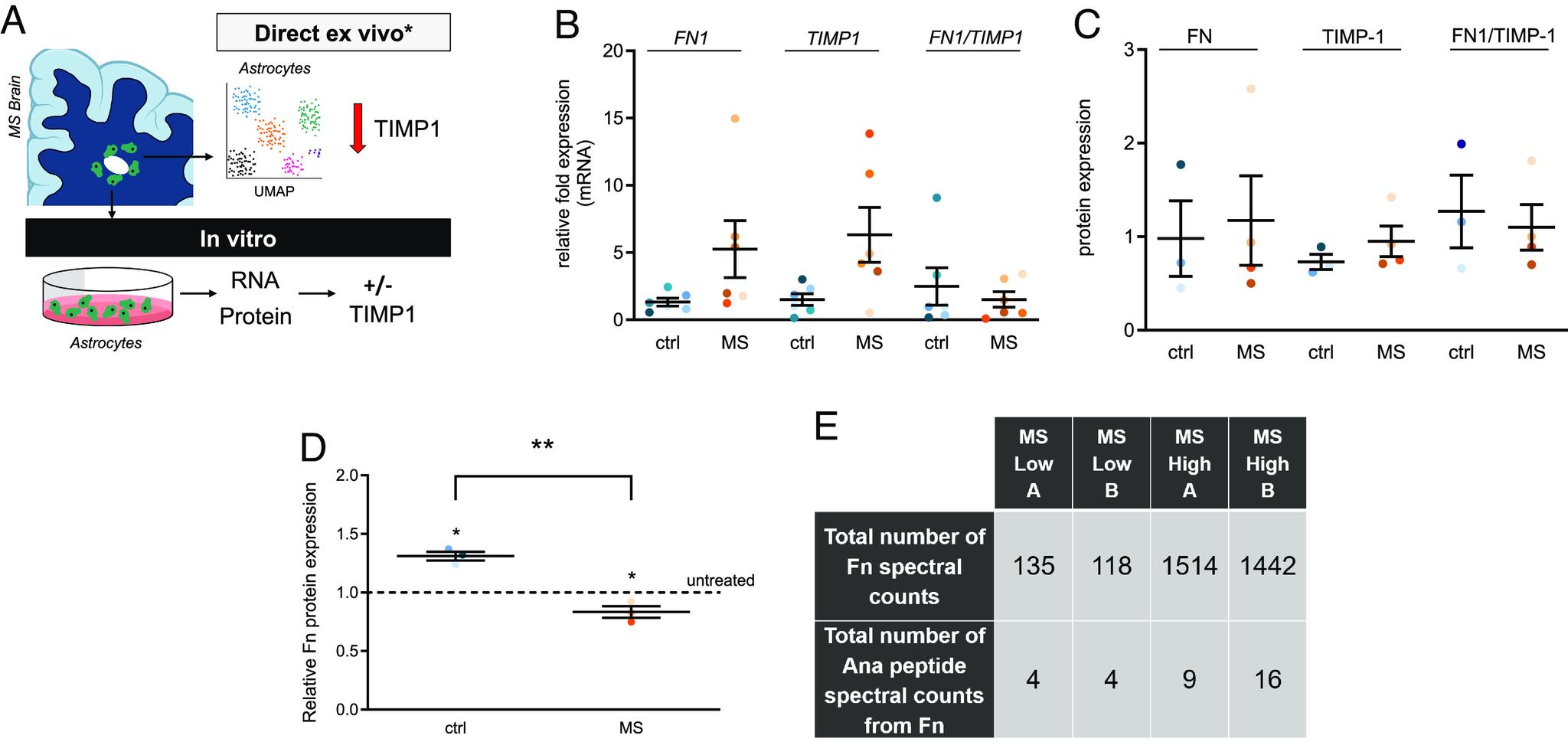 https://cdn.ncbi.nlm.nih.gov/pmc/blobs/ef27/10835138/25ac2fb8d508/pnas.2306816121fig05.jpg