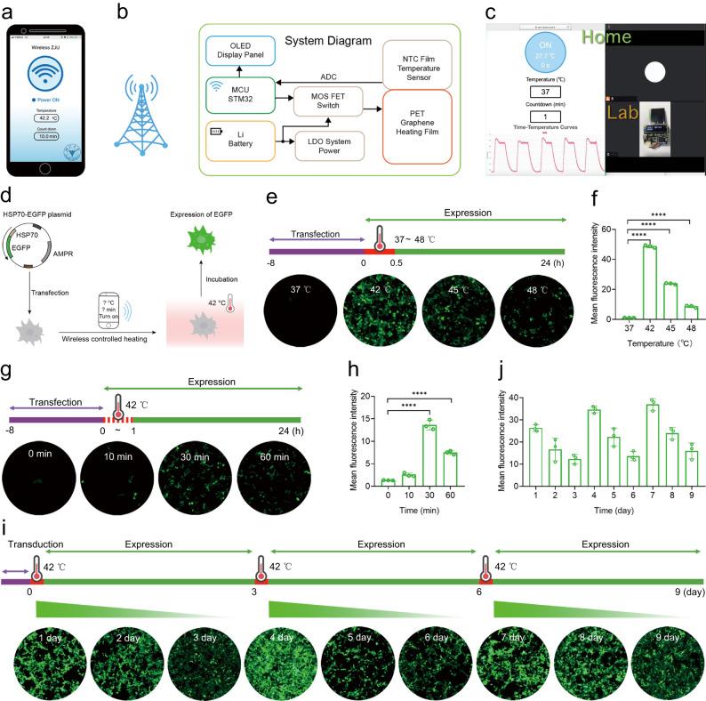 https://cdn.ncbi.nlm.nih.gov/pmc/blobs/ef29/10943244/5d4d3a479d61/41467_2024_46210_Fig2_HTML.jpg