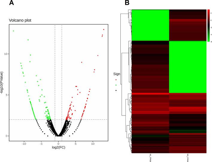 https://cdn.ncbi.nlm.nih.gov/pmc/blobs/ef2a/11102412/d83918fb722e/12672_2024_1038_Fig5_HTML.jpg