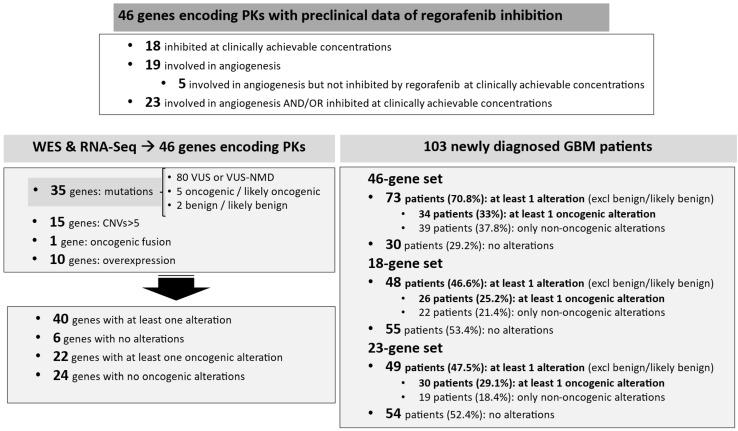 https://cdn.ncbi.nlm.nih.gov/pmc/blobs/ef2b/11816343/e17a61b14abe/cancers-17-00375-g003.jpg