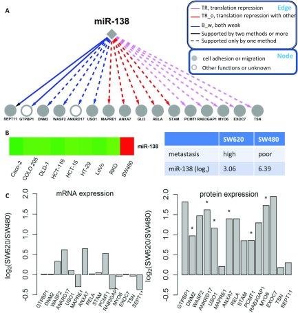 https://cdn.ncbi.nlm.nih.gov/pmc/blobs/ef2c/3708174/099ba0277039/zjw0071344850005.jpg