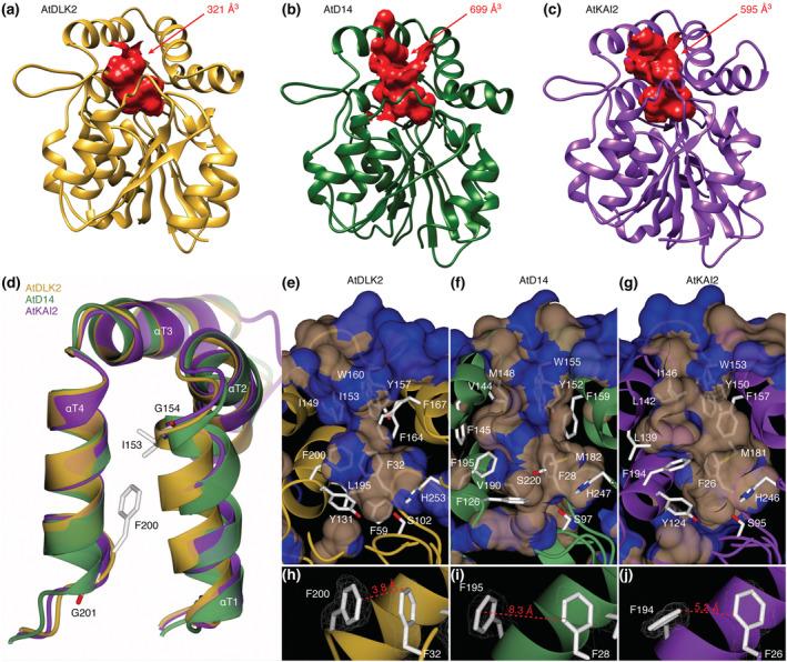 https://cdn.ncbi.nlm.nih.gov/pmc/blobs/ef2c/9470386/f41951f43c17/PLD3-6-e446-g007.jpg