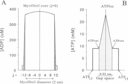 https://cdn.ncbi.nlm.nih.gov/pmc/blobs/ef2d/1180943/574fbcd93704/biophysj00032-0439-a.jpg