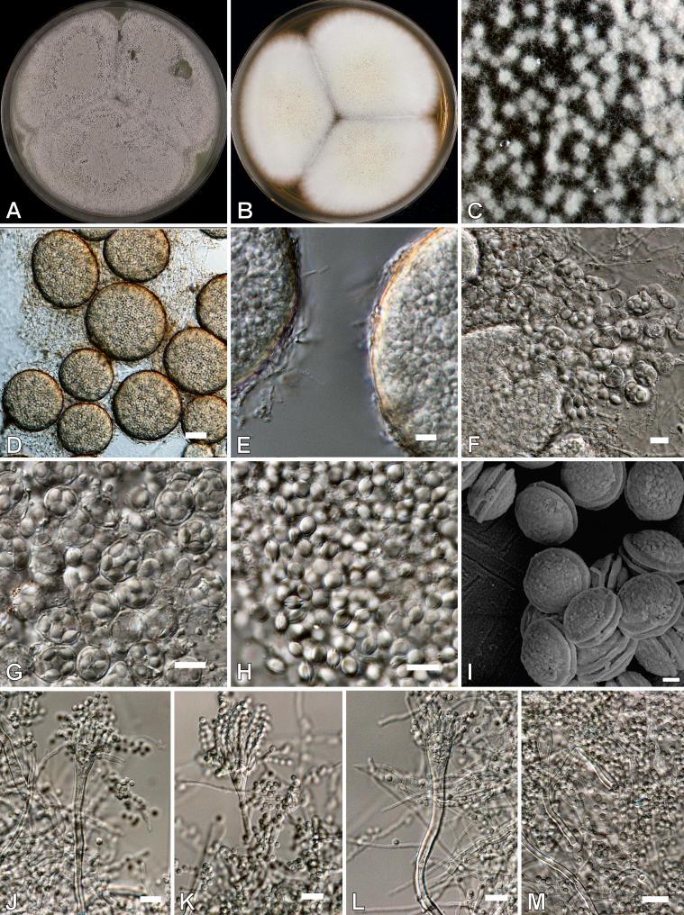 https://cdn.ncbi.nlm.nih.gov/pmc/blobs/ef2d/2275200/52eda3a55627/14fig23.jpg