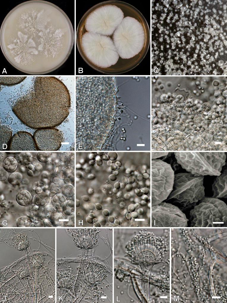 https://cdn.ncbi.nlm.nih.gov/pmc/blobs/ef2d/2275200/5f521c098451/14fig27.jpg