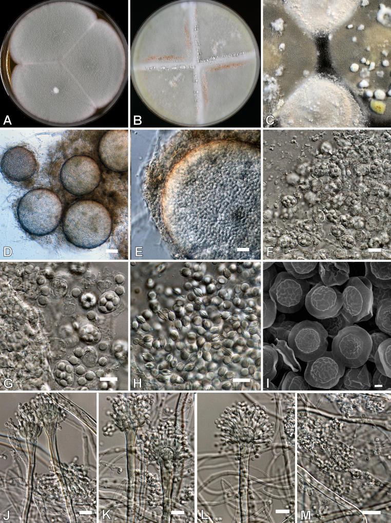 https://cdn.ncbi.nlm.nih.gov/pmc/blobs/ef2d/2275200/6c473b235851/14fig22.jpg