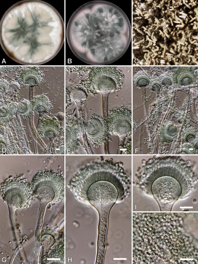 https://cdn.ncbi.nlm.nih.gov/pmc/blobs/ef2d/2275200/78eb3b304b5c/14fig11.jpg
