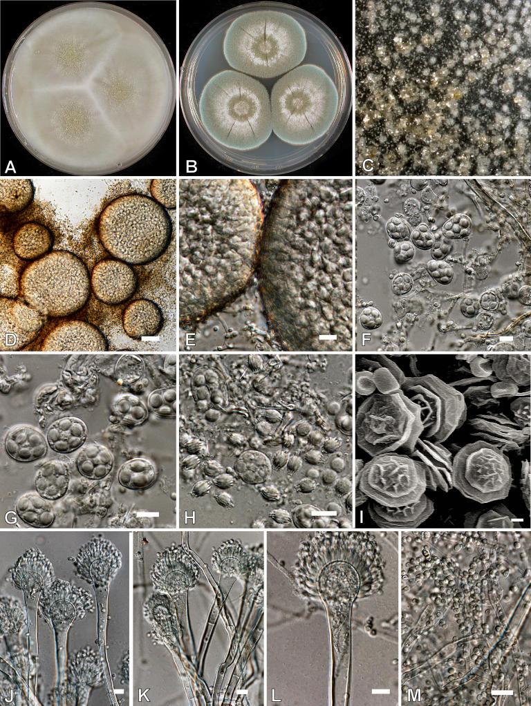 https://cdn.ncbi.nlm.nih.gov/pmc/blobs/ef2d/2275200/89427845d004/14fig32.jpg