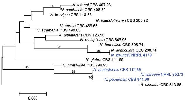 https://cdn.ncbi.nlm.nih.gov/pmc/blobs/ef2d/2275200/c13977bba147/14fig4.jpg