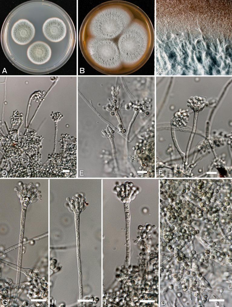 https://cdn.ncbi.nlm.nih.gov/pmc/blobs/ef2d/2275200/c1c47c8ebde0/14fig14.jpg